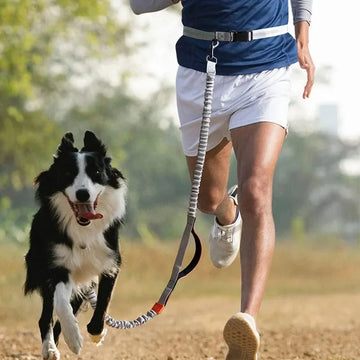 Retractable Hands-Free Dog Leash for Running