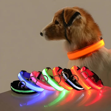 LED Glow Dog Collar Nylon Leash