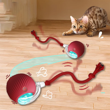 Interactive Rechargeable Cat Ball Toy