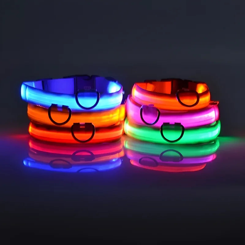 LED Glow Dog Collar Nylon Leash